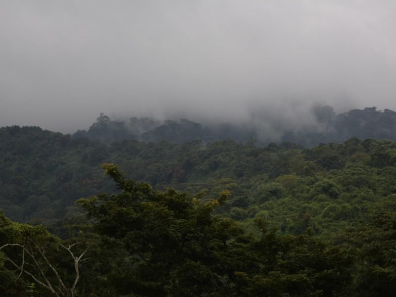 green Mountains