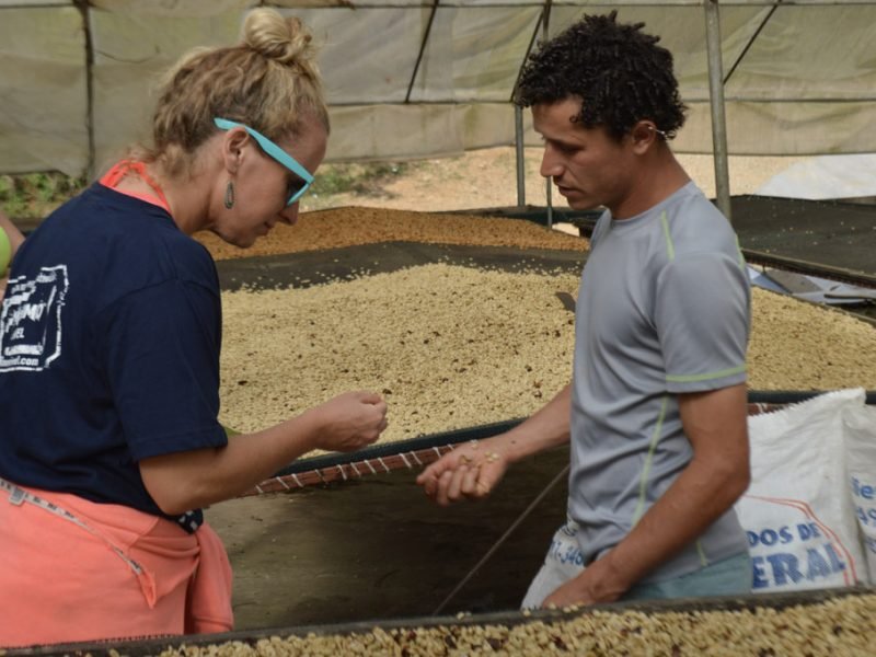 working on the coffee farm