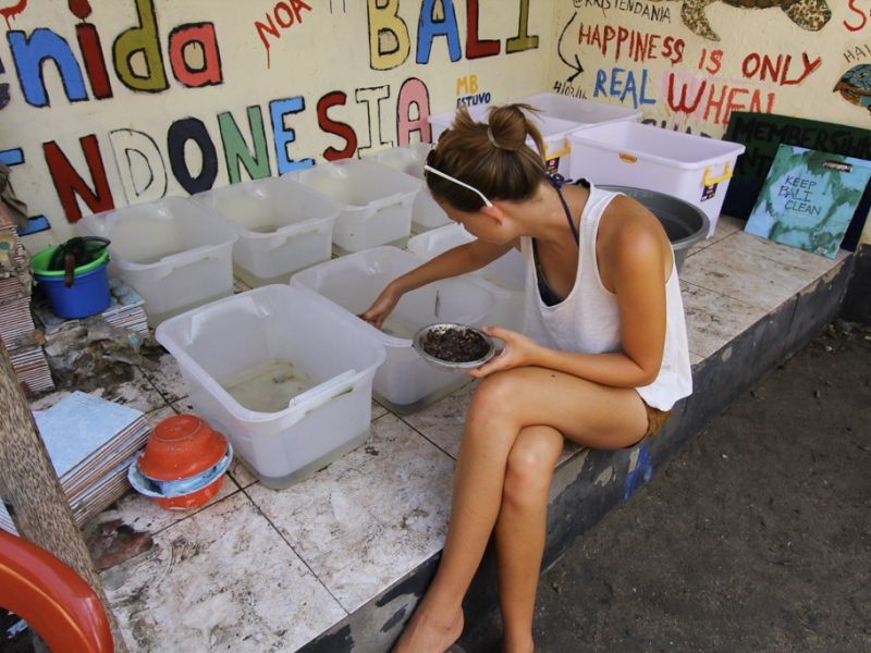 preparing food