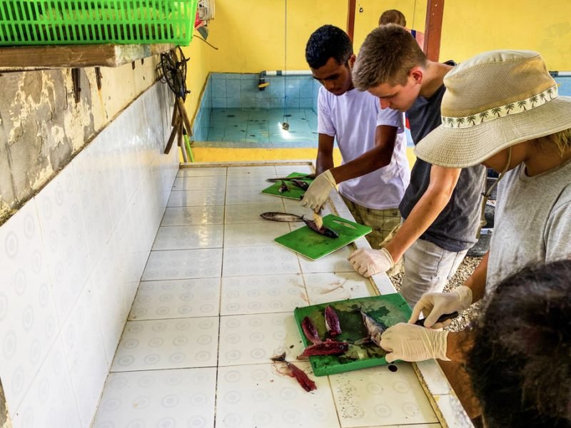 chopping fish