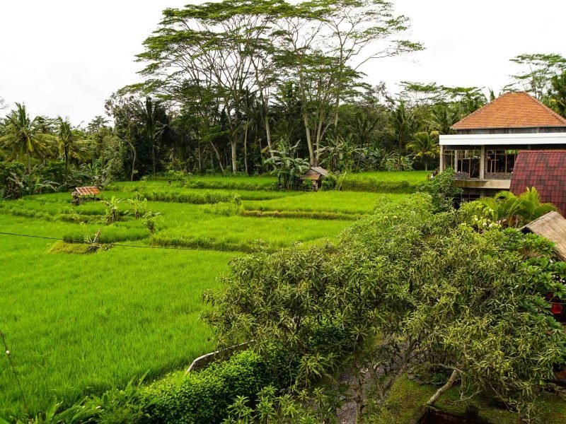 Volunteer house
