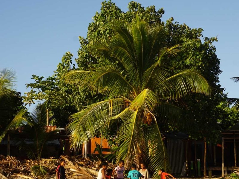 kids playing in beach