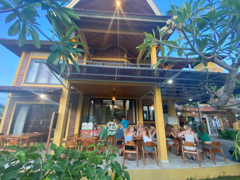 lovina accommodation