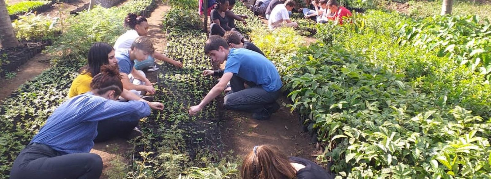Planting trees on conservation project
